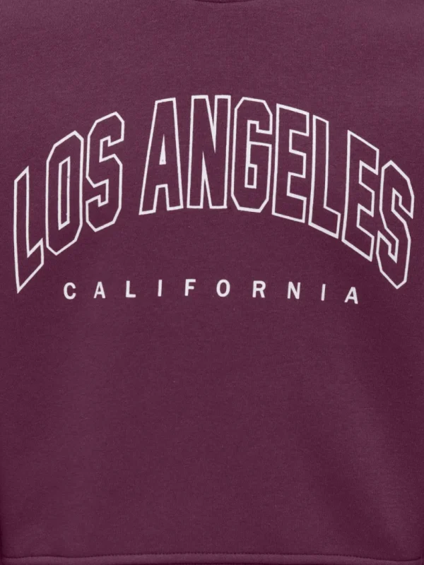 Collagegenser Los Angeles - Bilde 3